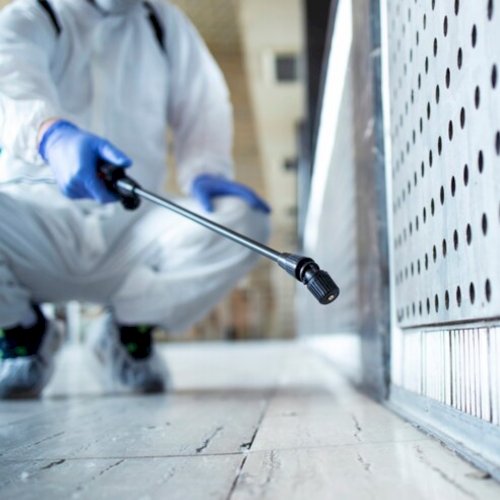 Pest & Rodent Control